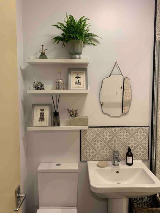 The Nest, Central Ludlow One Bed Apartment Экстерьер фото